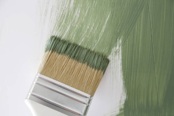 Mold Remediation for Rental Properties in Alvord, TX